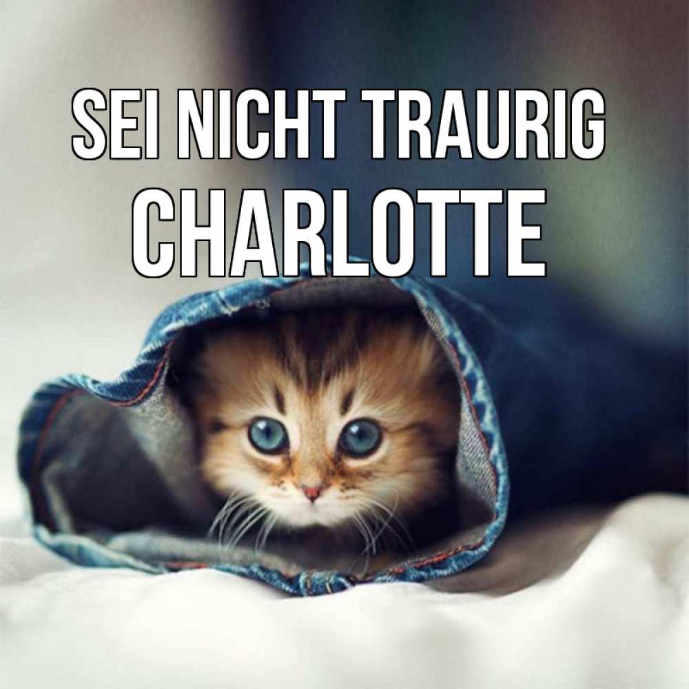 Открытка на каждый день с именем, Charlotte Sei nicht traurig кот в одежде Прикольная открытка с пожеланием онлайн скачать бесплатно 