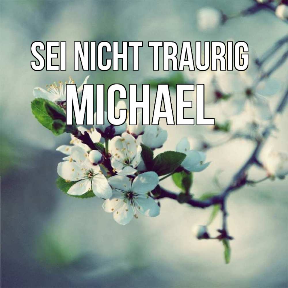 Открытка на каждый день с именем, Michael Sei nicht traurig яблоня в цвету 1 Прикольная открытка с пожеланием онлайн скачать бесплатно 