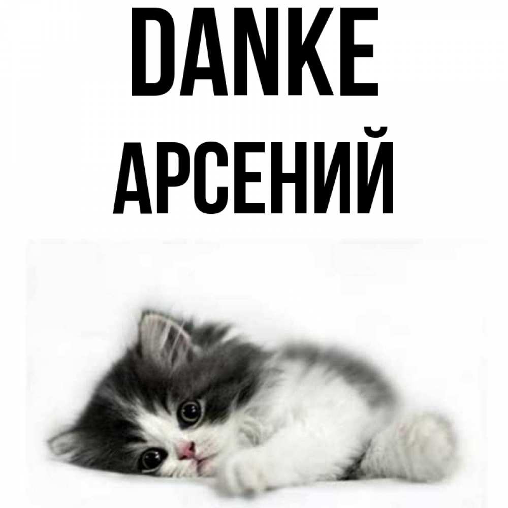 Открытка на каждый день с именем, Арсений Danke черный и белый кот Прикольная открытка с пожеланием онлайн скачать бесплатно 