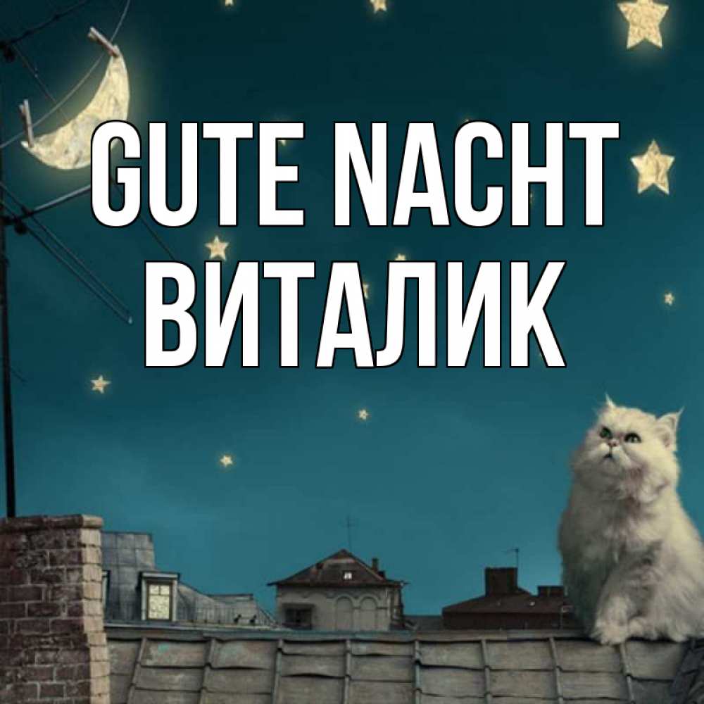 Открытка на каждый день с именем, Виталик Gute Nacht белый кот сидит на крыше Прикольная открытка с пожеланием онлайн скачать бесплатно 