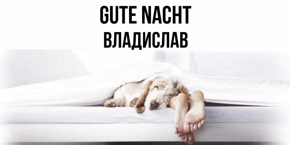 Открытка на каждый день с именем, Владислав Gute Nacht кровать с собакой пожелание сладких снов и спокойной ночи Прикольная открытка с пожеланием онлайн скачать бесплатно 
