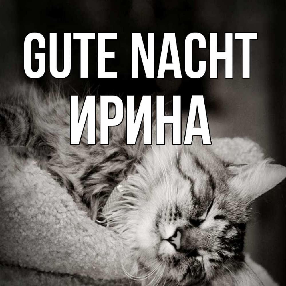 Открытка на каждый день с именем, Ирина Gute Nacht котярик пушистый Прикольная открытка с пожеланием онлайн скачать бесплатно 