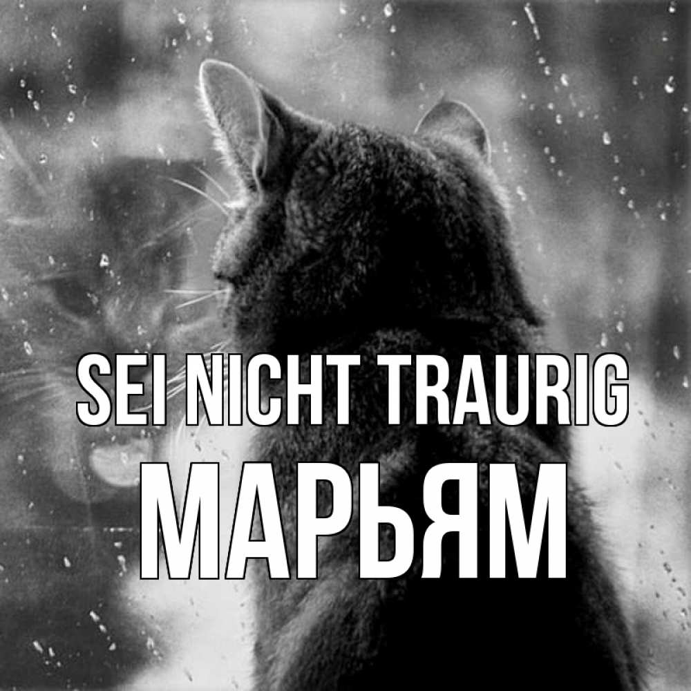 Открытка на каждый день с именем, Марьям Sei nicht traurig отражение кота 1 Прикольная открытка с пожеланием онлайн скачать бесплатно 
