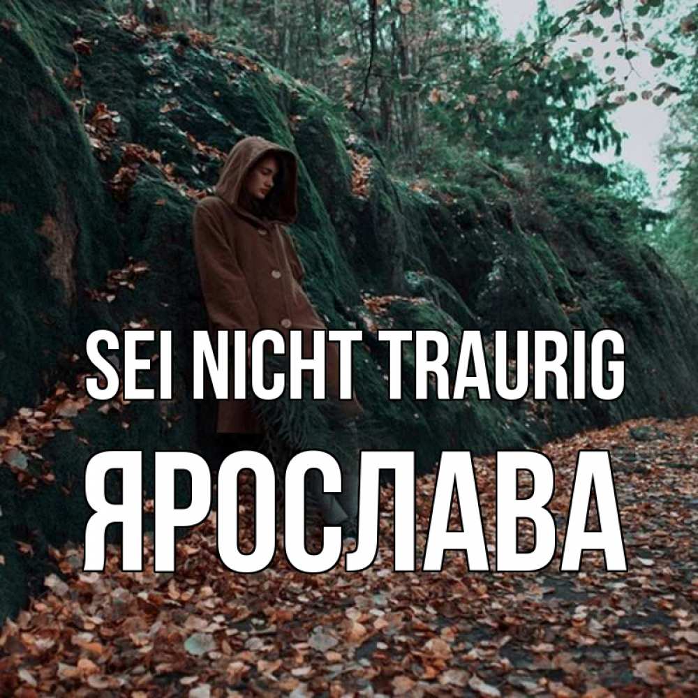 Открытка на каждый день с именем, Ярослава Sei nicht traurig осенний лес Прикольная открытка с пожеланием онлайн скачать бесплатно 