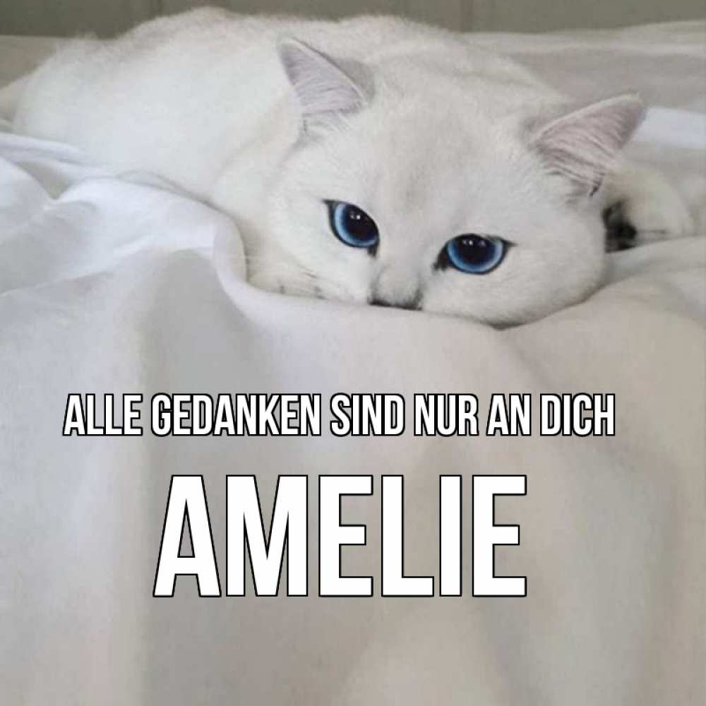Открытка на каждый день с именем, Amelie Alle Gedanken sind nur an dich я очень по тебе скучаю и тоскую Прикольная открытка с пожеланием онлайн скачать бесплатно 