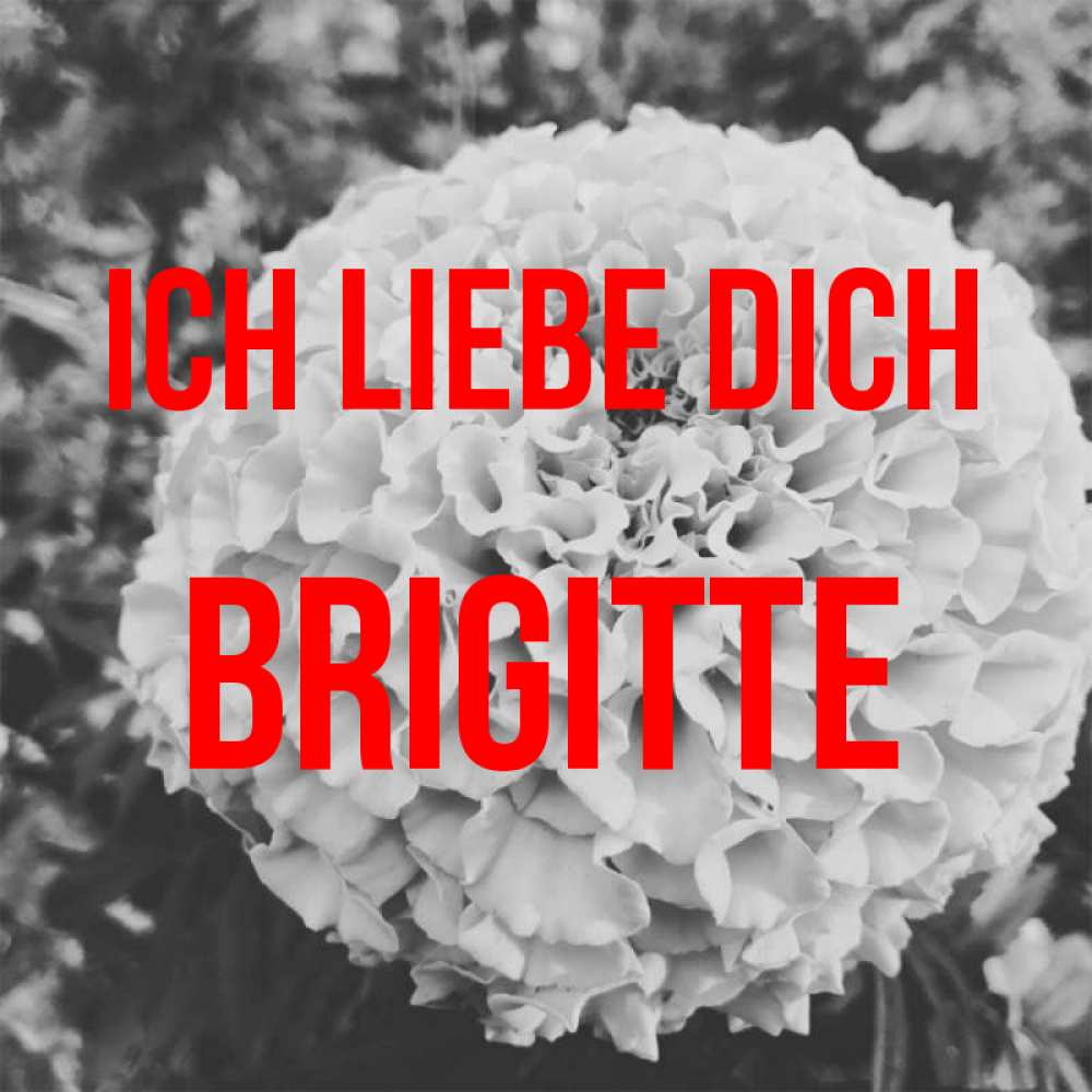 Открытка на каждый день с именем, Brigitte Ich liebe dich подпись Прикольная открытка с пожеланием онлайн скачать бесплатно 