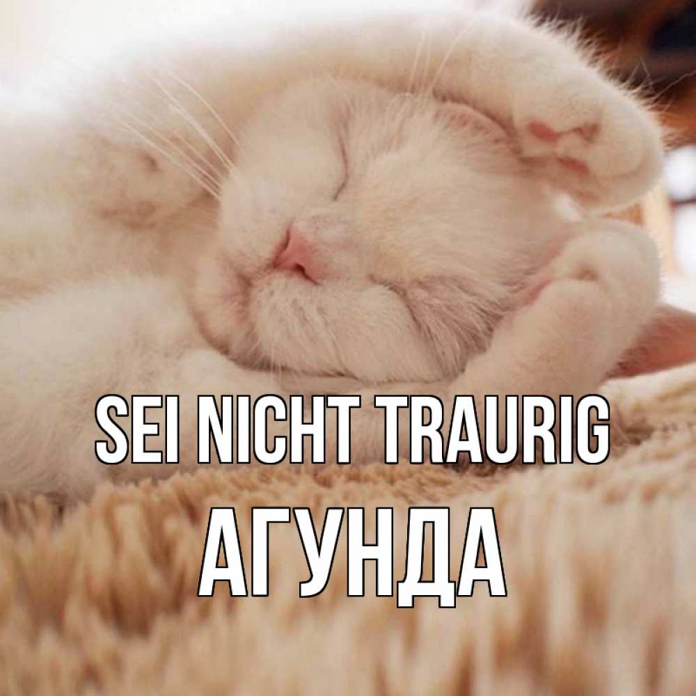 Открытка на каждый день с именем, Агунда Sei nicht traurig белый кот Прикольная открытка с пожеланием онлайн скачать бесплатно 
