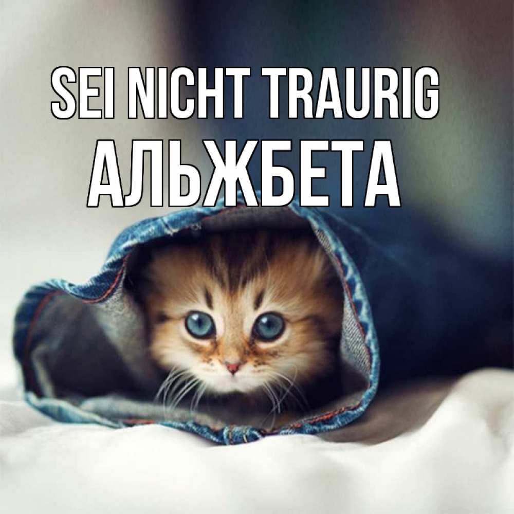 Открытка на каждый день с именем, Альжбета Sei nicht traurig рыжик котик Прикольная открытка с пожеланием онлайн скачать бесплатно 