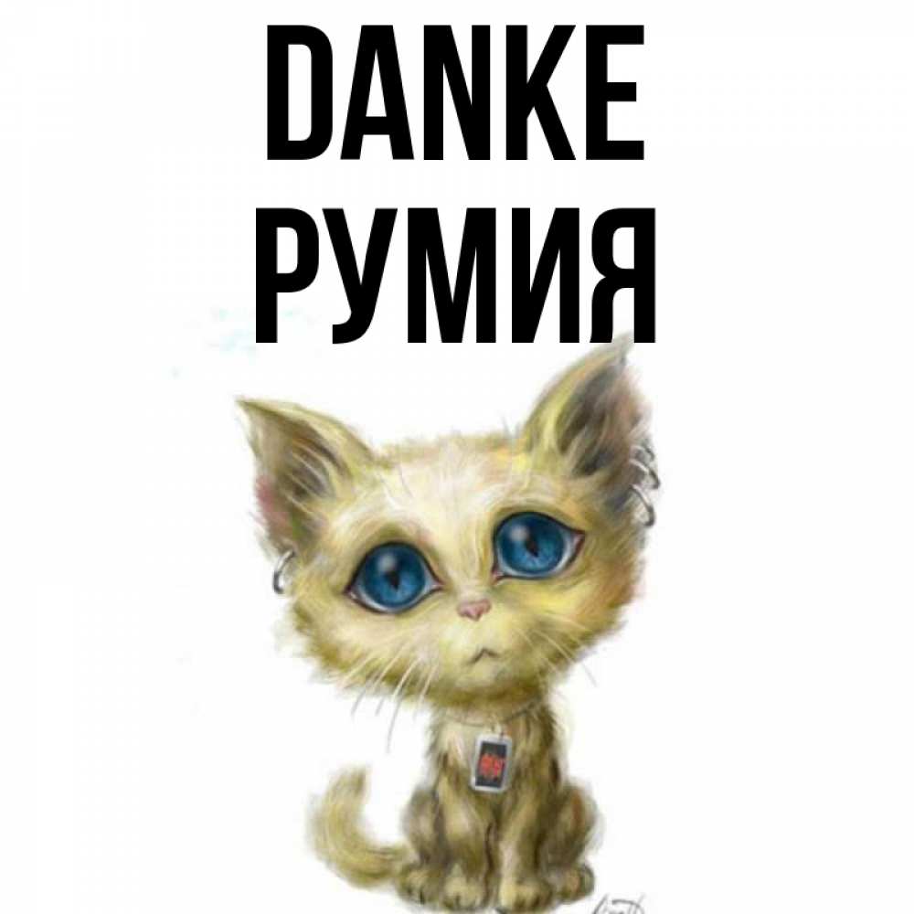 Открытка на каждый день с именем, Румия Danke рисованный кот благодарит вас Прикольная открытка с пожеланием онлайн скачать бесплатно 