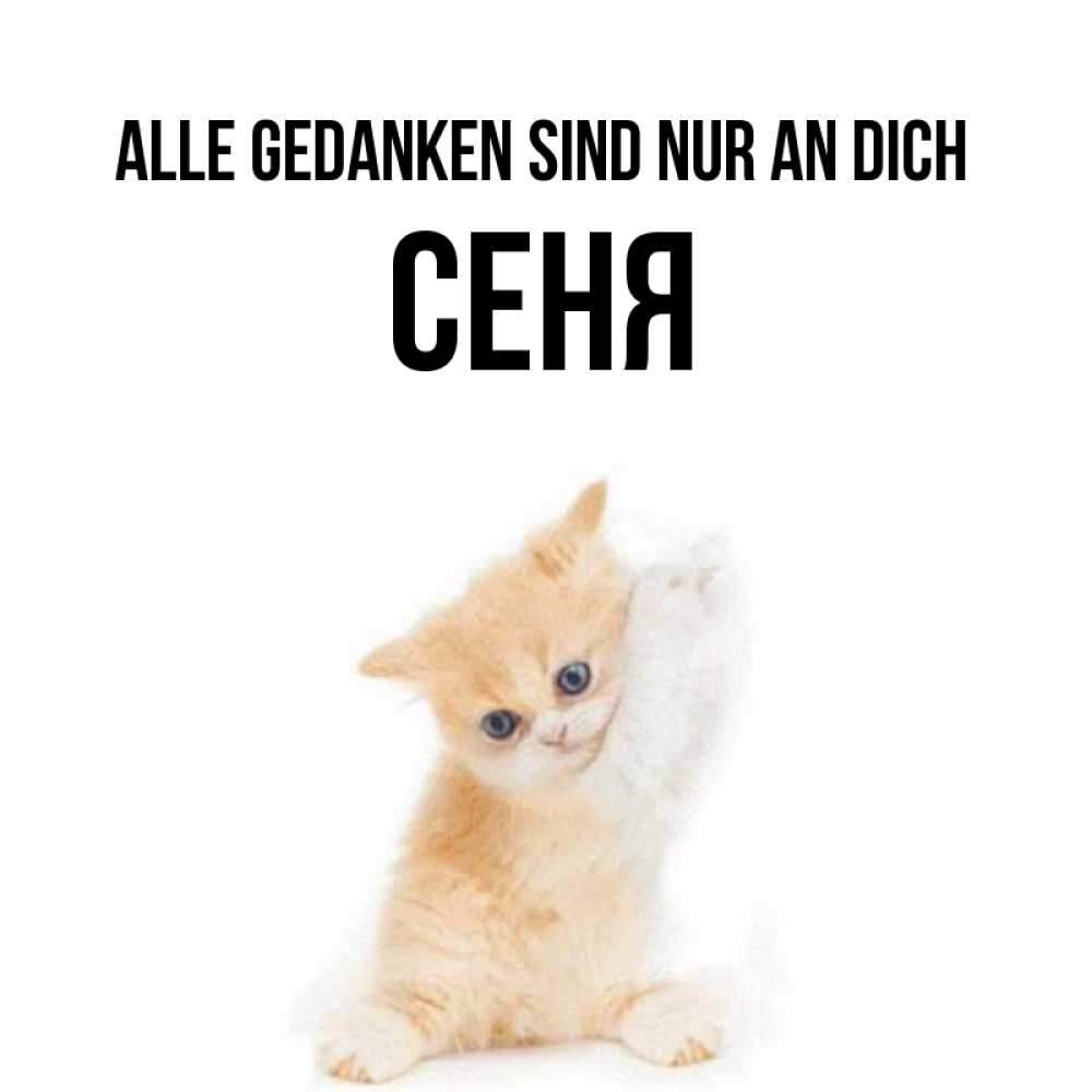 Открытка на каждый день с именем, Сеня Alle Gedanken sind nur an dich зверушки и милота Прикольная открытка с пожеланием онлайн скачать бесплатно 