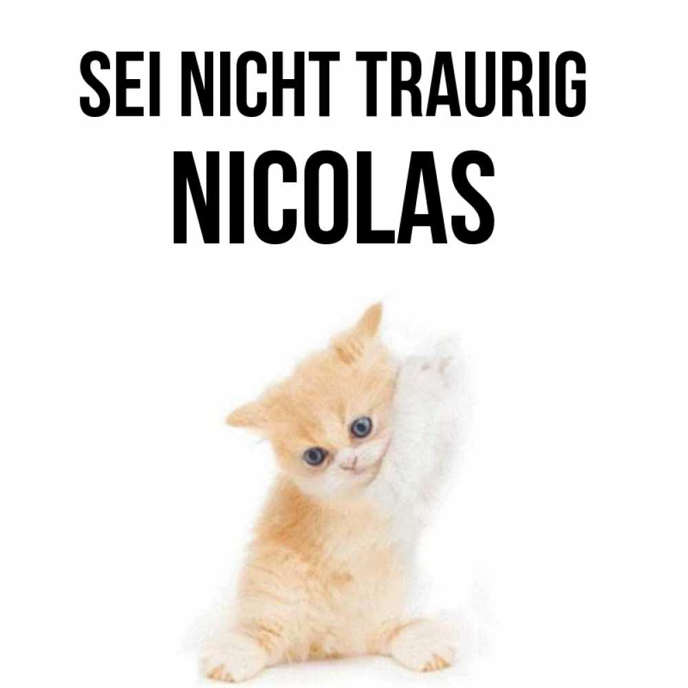 Открытка на каждый день с именем, Nicolas Sei nicht traurig просящий кот Прикольная открытка с пожеланием онлайн скачать бесплатно 