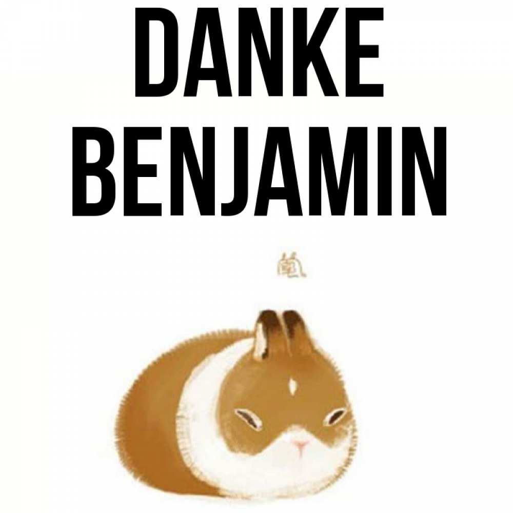 Открытка на каждый день с именем, Benjamin Danke коричнево белый домашний питомец Прикольная открытка с пожеланием онлайн скачать бесплатно 
