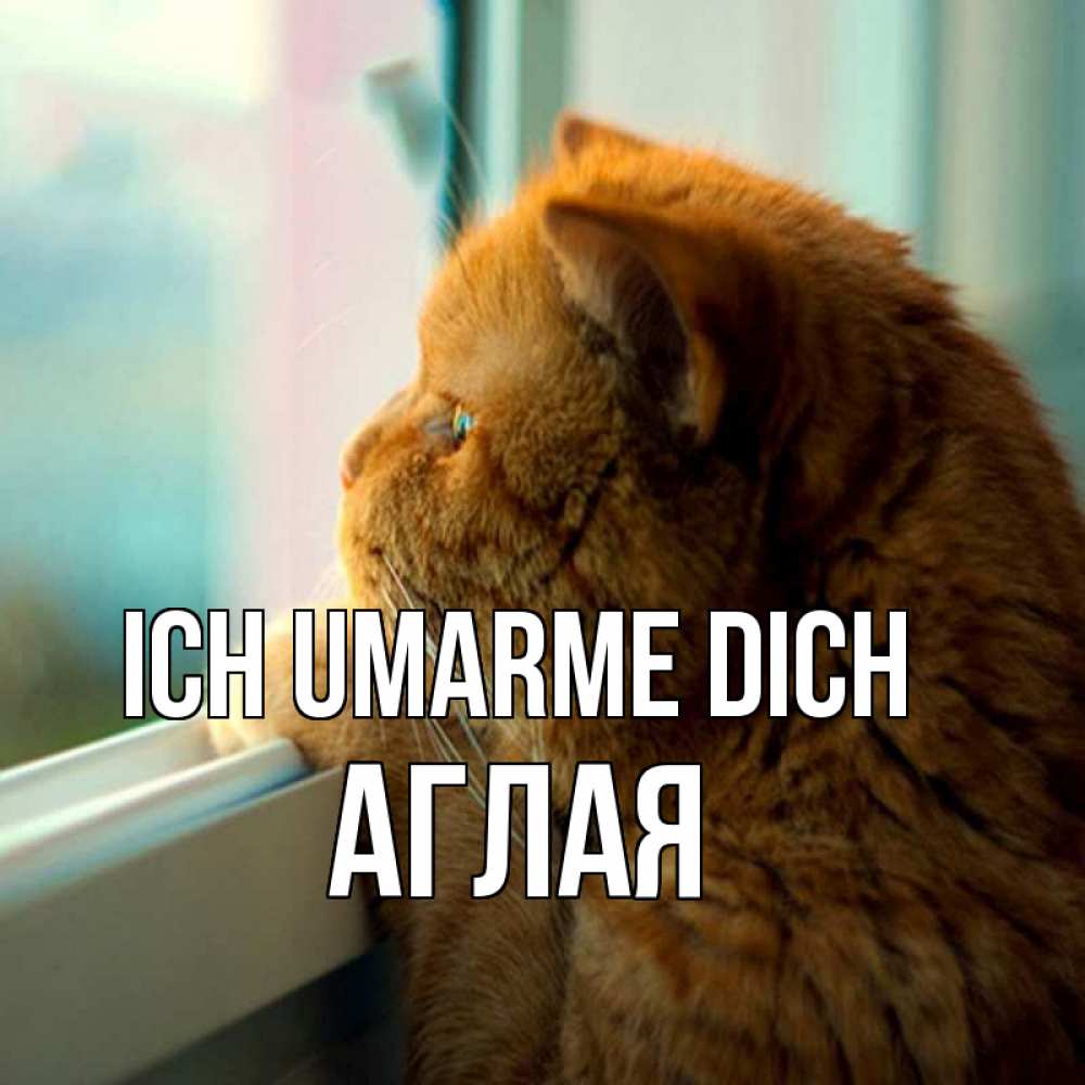 Открытка на каждый день с именем, Аглая Ich umarme dich большой огромный рыжий котяра Прикольная открытка с пожеланием онлайн скачать бесплатно 