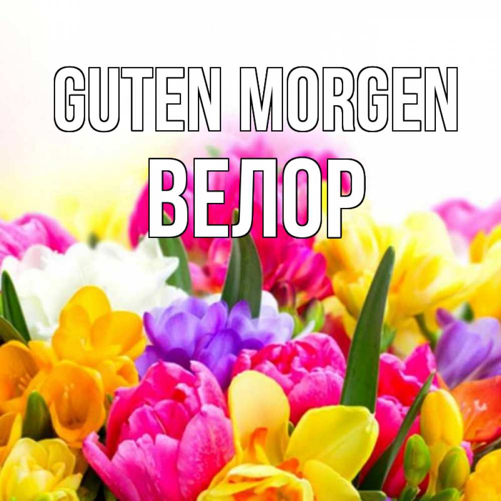 Открытка на каждый день с именем, Велор Guten Morgen создать открытку со свое подписью Прикольная открытка с пожеланием онлайн скачать бесплатно 