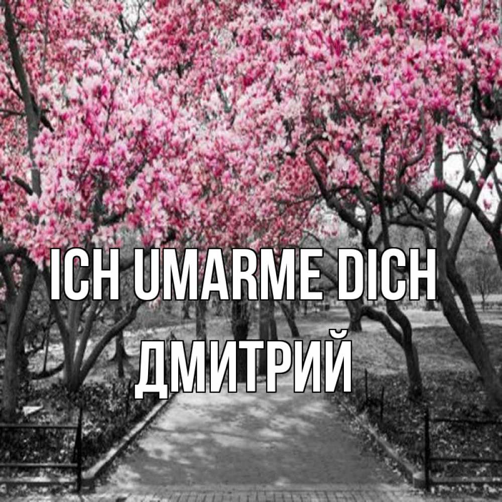 Открытка на каждый день с именем, Дмитрий Ich umarme dich обработанное фото Прикольная открытка с пожеланием онлайн скачать бесплатно 