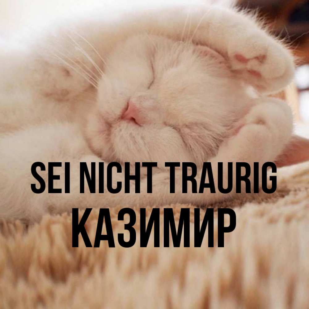 Открытка на каждый день с именем, Казимир Sei nicht traurig Котенок спит Прикольная открытка с пожеланием онлайн скачать бесплатно 