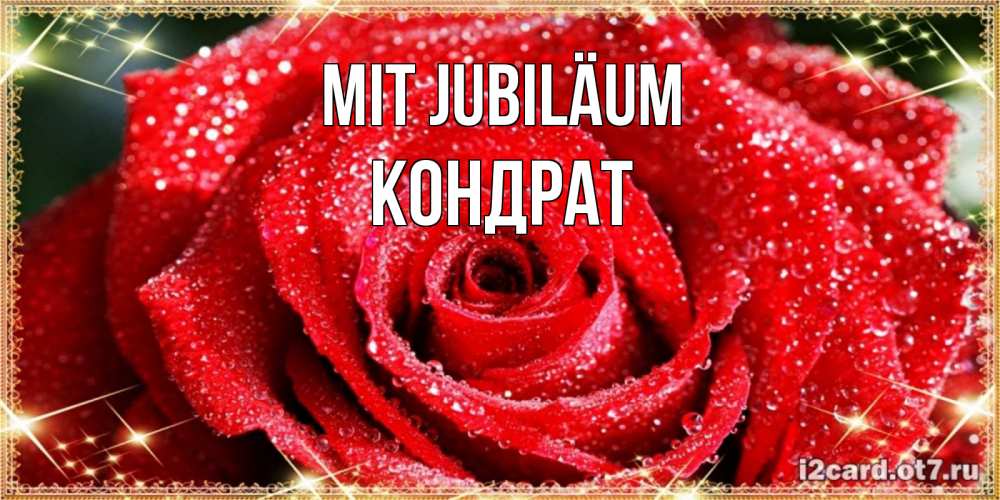 Открытка на каждый день с именем, Кондрат Mit Jubiläum роса и роза. открытка с красивой розой Прикольная открытка с пожеланием онлайн скачать бесплатно 