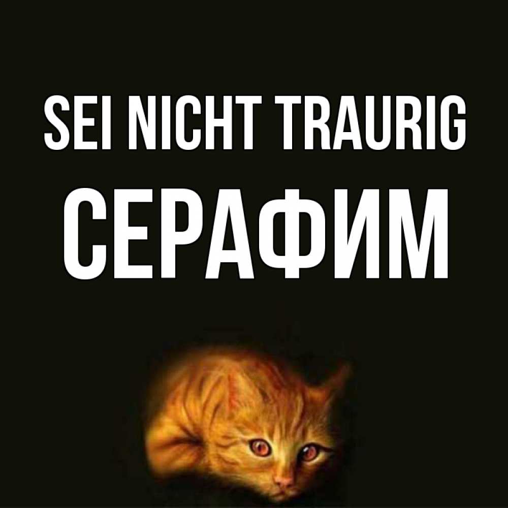 Открытка на каждый день с именем, Серафим Sei nicht traurig лежащий кот в темноте Прикольная открытка с пожеланием онлайн скачать бесплатно 