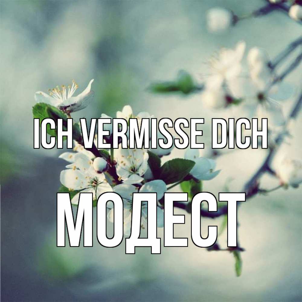 Открытка на каждый день с именем, Модест Ich vermisse dich весна Прикольная открытка с пожеланием онлайн скачать бесплатно 