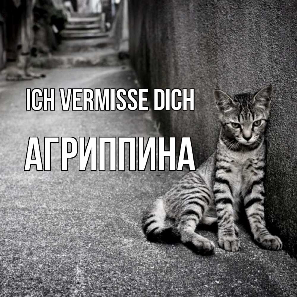 Открытка на каждый день с именем, Агриппина Ich vermisse dich одиноко котику Прикольная открытка с пожеланием онлайн скачать бесплатно 