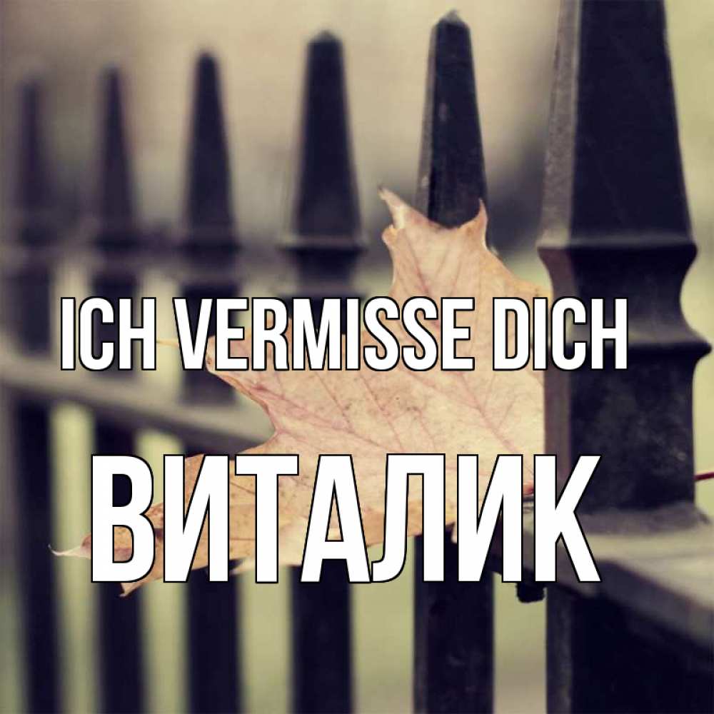 Открытка на каждый день с именем, Виталик Ich vermisse dich очень скучно Прикольная открытка с пожеланием онлайн скачать бесплатно 