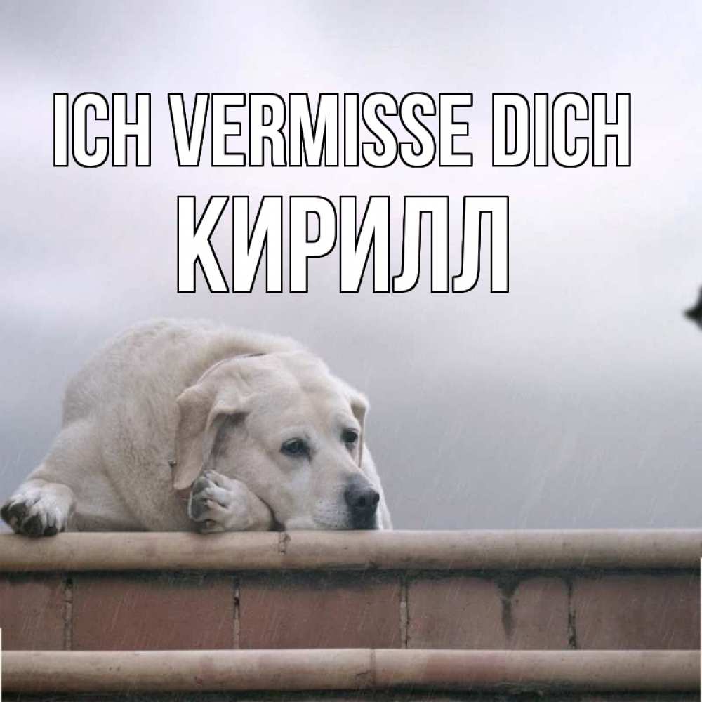Открытка на каждый день с именем, Кирилл Ich vermisse dich ждет Прикольная открытка с пожеланием онлайн скачать бесплатно 
