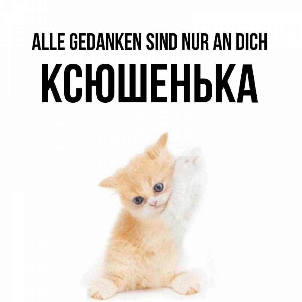 Открытка на каждый день с именем, Ксюшенька Alle Gedanken sind nur an dich зверушки и милота Прикольная открытка с пожеланием онлайн скачать бесплатно 