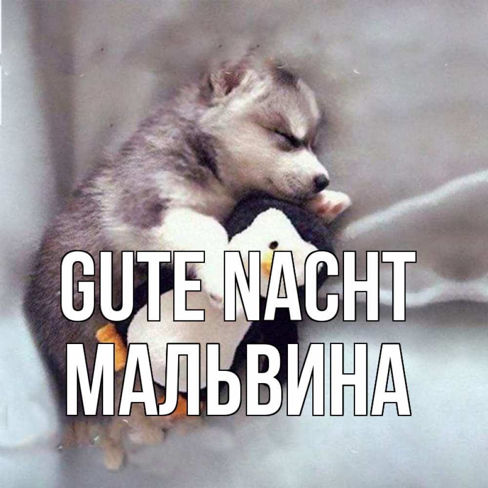 Открытка на каждый день с именем, Мальвина Gute Nacht обнимашки щенка и пингвина Прикольная открытка с пожеланием онлайн скачать бесплатно 