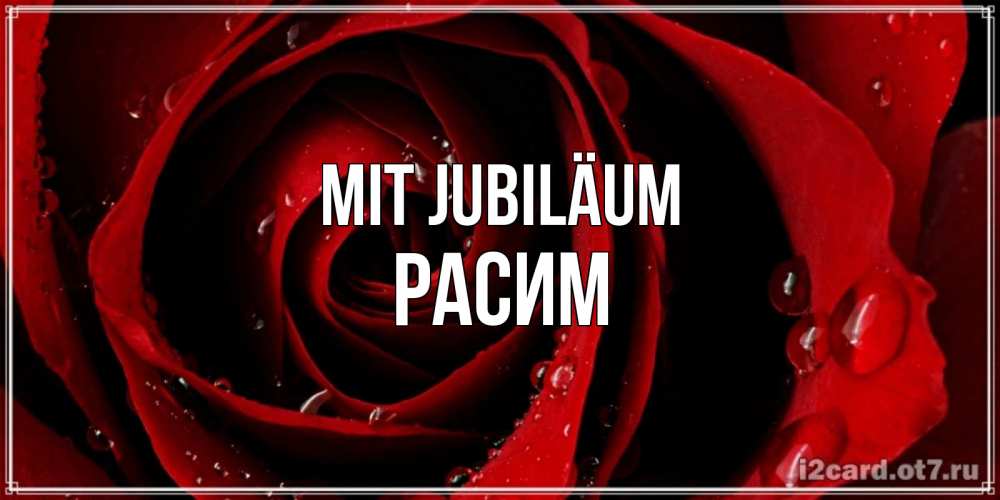 Открытка на каждый день с именем, Расим Mit Jubiläum крупная бордовая роза Прикольная открытка с пожеланием онлайн скачать бесплатно 