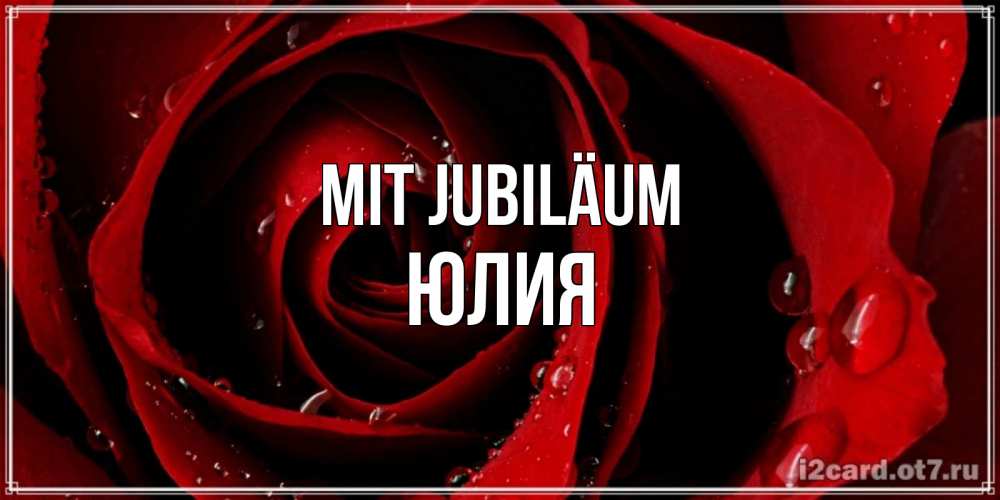 Открытка на каждый день с именем, Юлия Mit Jubiläum крупная бордовая роза Прикольная открытка с пожеланием онлайн скачать бесплатно 
