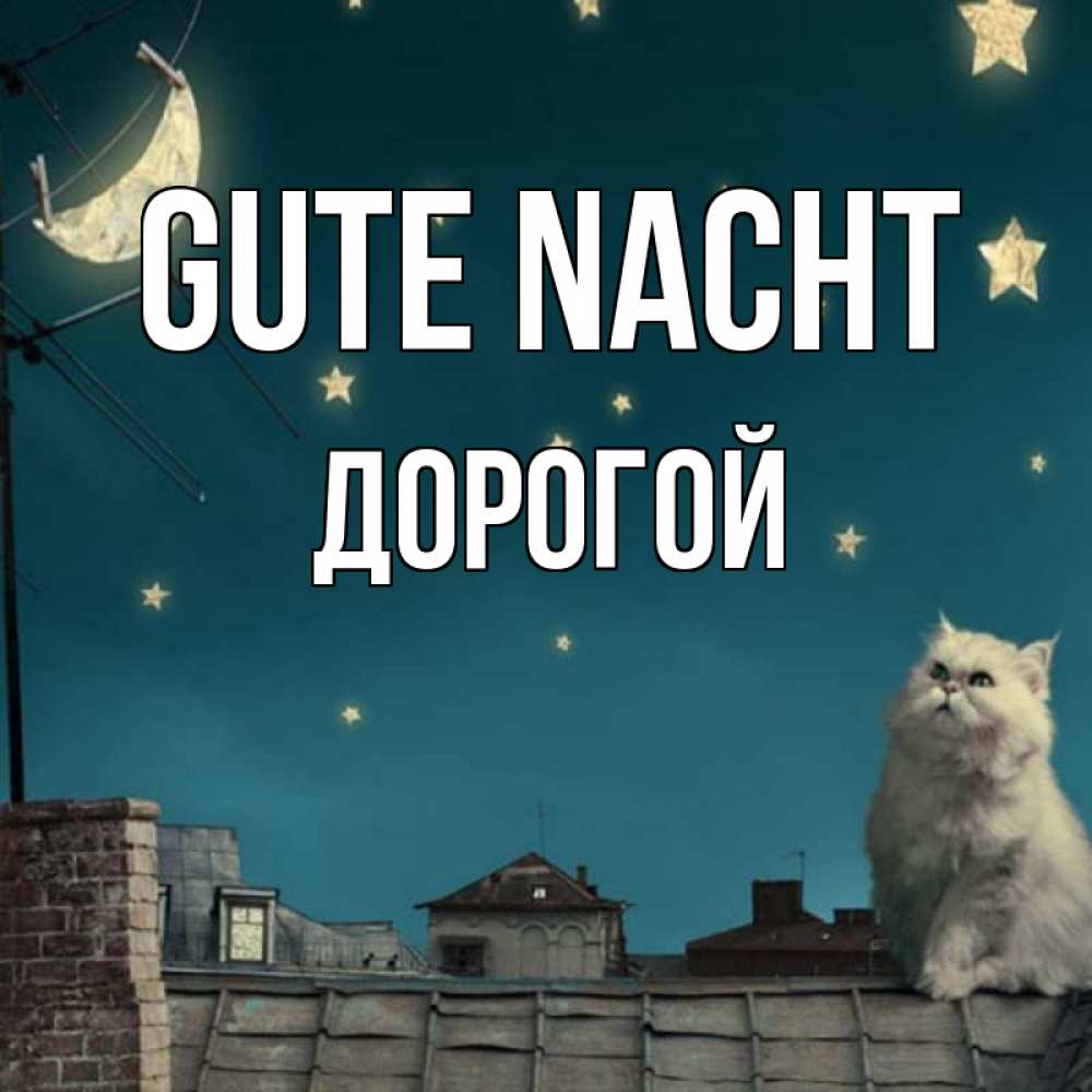 Открытка на каждый день с именем, Дорогой Gute Nacht белый кот сидит на крыше Прикольная открытка с пожеланием онлайн скачать бесплатно 