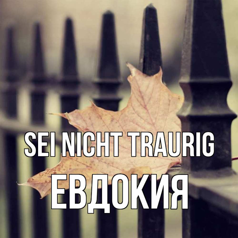 Открытка на каждый день с именем, Евдокия Sei nicht traurig лист клена Прикольная открытка с пожеланием онлайн скачать бесплатно 