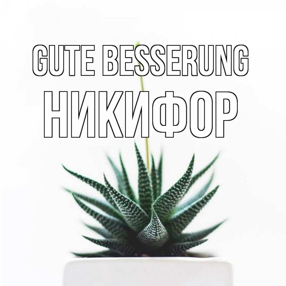 Открытка на каждый день с именем, Никифор Gute Besserung короче это непонятная колючка Прикольная открытка с пожеланием онлайн скачать бесплатно 