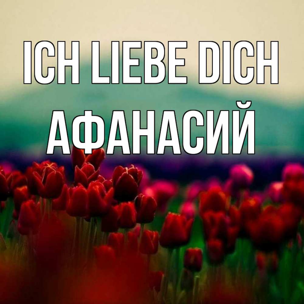 Открытка на каждый день с именем, Афанасий Ich liebe dich тюльпаны 4 Прикольная открытка с пожеланием онлайн скачать бесплатно 