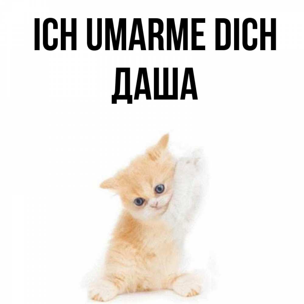 Открытка на каждый день с именем, Даша Ich umarme dich я хочу очень скорее обнимаешек Прикольная открытка с пожеланием онлайн скачать бесплатно 