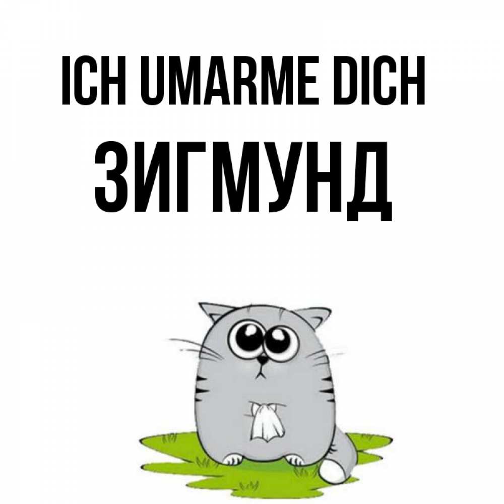 Открытка на каждый день с именем, Зигмунд Ich umarme dich котик теребит платочек сидя на травке Прикольная открытка с пожеланием онлайн скачать бесплатно 