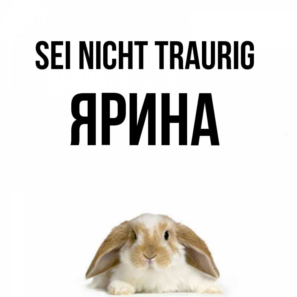 Открытка на каждый день с именем, Ярина Sei nicht traurig коричнево белый заяц с большими ушками Прикольная открытка с пожеланием онлайн скачать бесплатно 