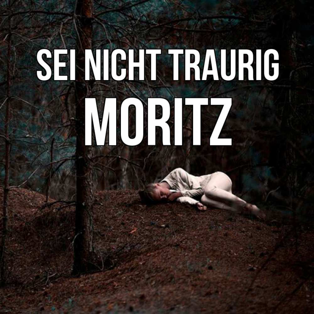 Открытка на каждый день с именем, Moritz Sei nicht traurig лес Прикольная открытка с пожеланием онлайн скачать бесплатно 