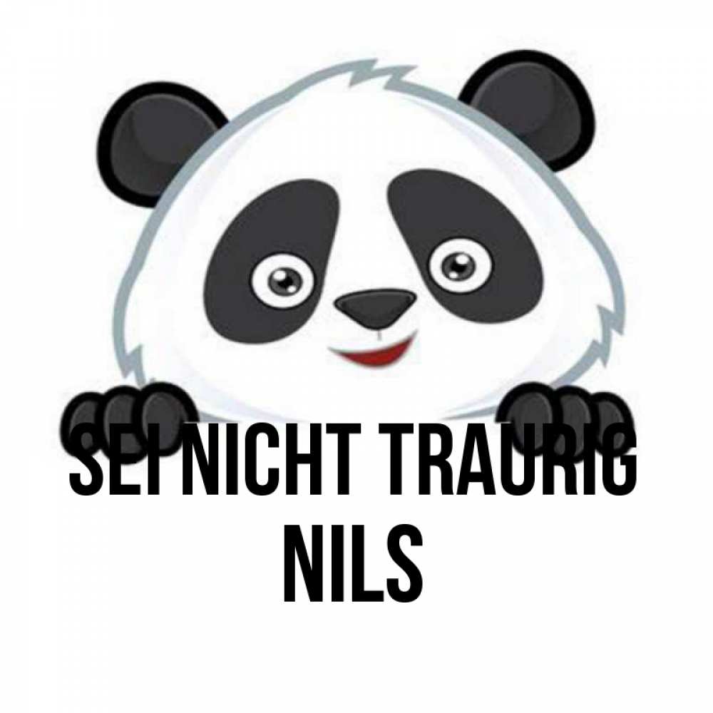 Открытка на каждый день с именем, Nils Sei nicht traurig не надо печалиться Прикольная открытка с пожеланием онлайн скачать бесплатно 