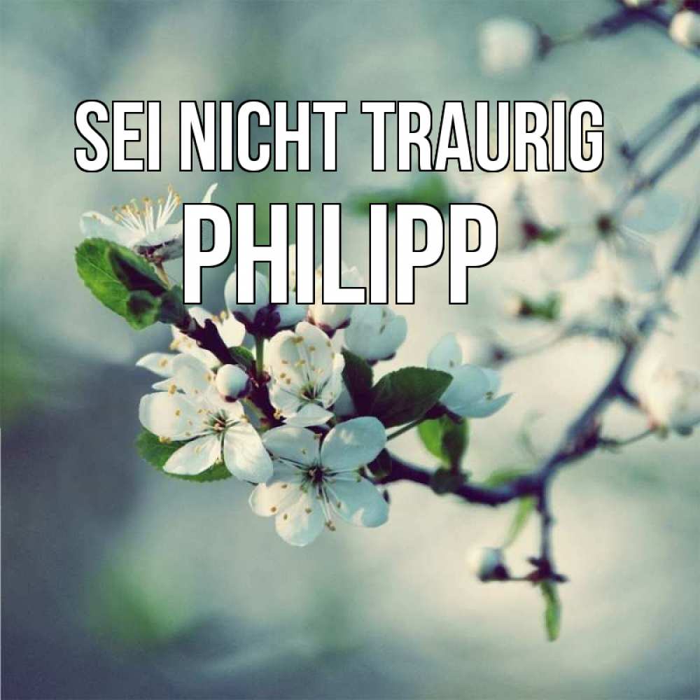 Открытка на каждый день с именем, Philipp Sei nicht traurig яблоня в цвету 1 Прикольная открытка с пожеланием онлайн скачать бесплатно 