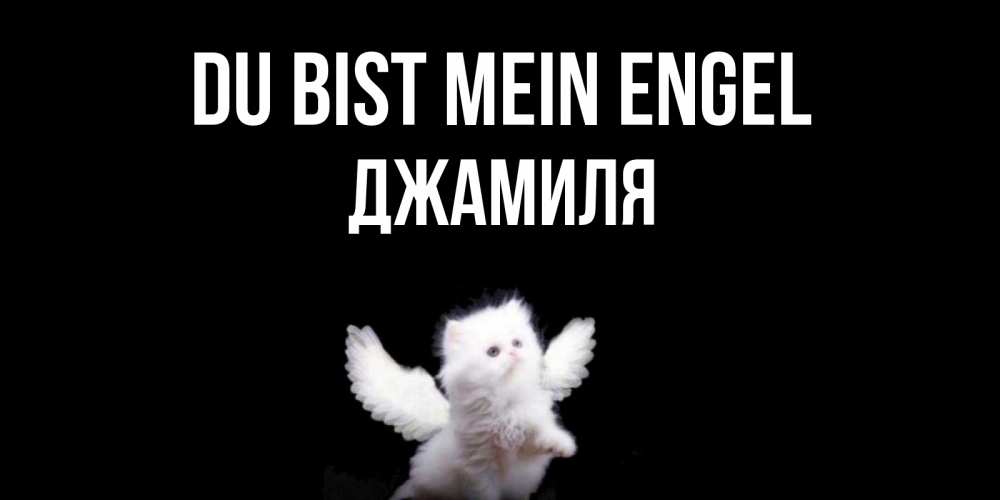 Открытка на каждый день с именем, Джамиля Du bist mein Engel Кот ангел Прикольная открытка с пожеланием онлайн скачать бесплатно 