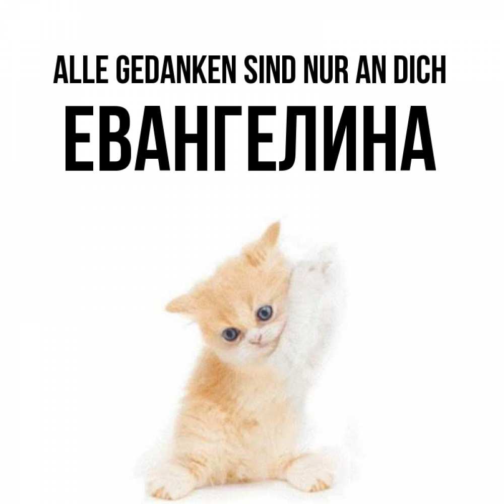 Открытка на каждый день с именем, Евангелина Alle Gedanken sind nur an dich зверушки и милота Прикольная открытка с пожеланием онлайн скачать бесплатно 
