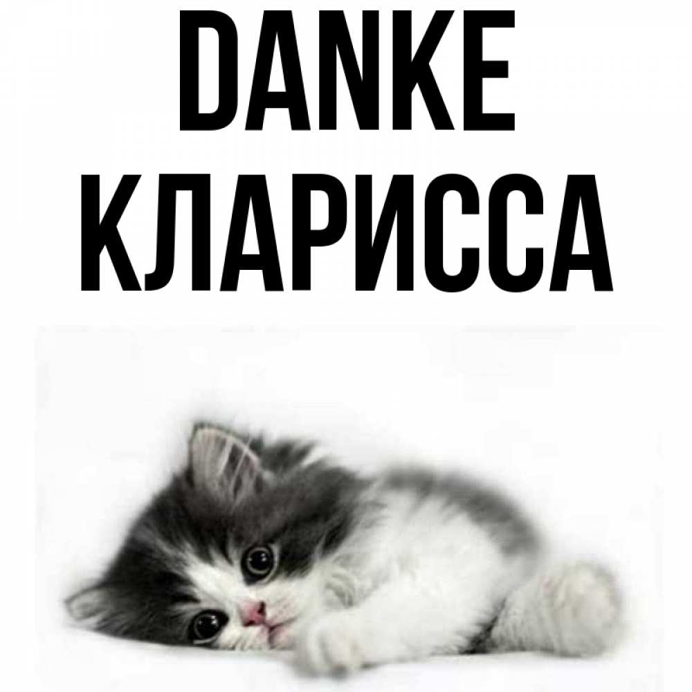 Открытка на каждый день с именем, Кларисса Danke черный и белый кот Прикольная открытка с пожеланием онлайн скачать бесплатно 