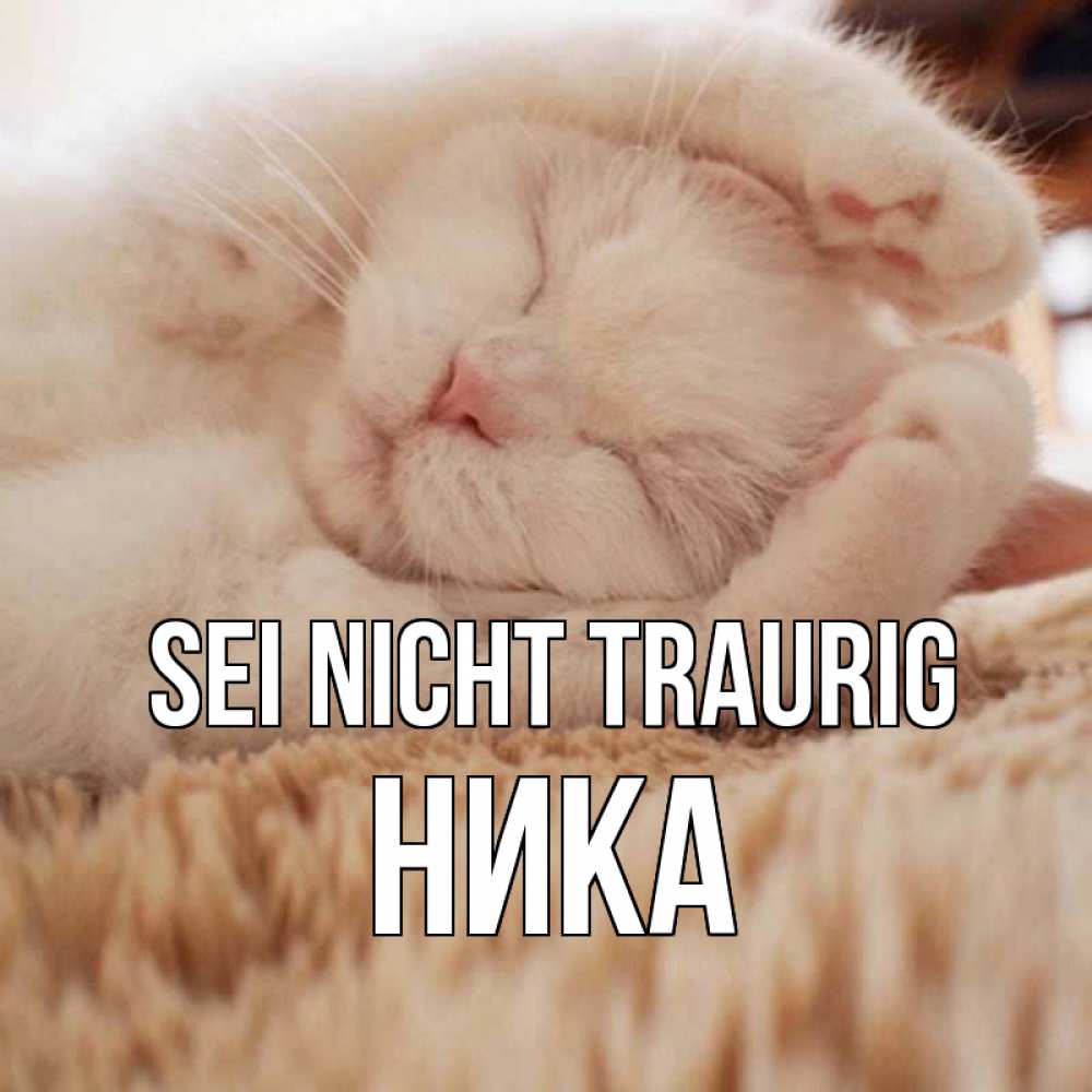 Открытка на каждый день с именем, Ника Sei nicht traurig белый кот Прикольная открытка с пожеланием онлайн скачать бесплатно 