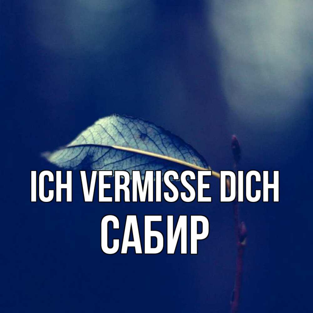 Открытка на каждый день с именем, Сабир Ich vermisse dich одна ветка 1 Прикольная открытка с пожеланием онлайн скачать бесплатно 