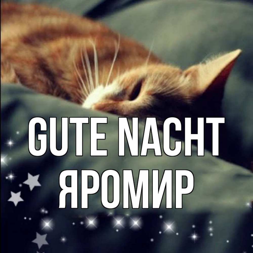 Открытка на каждый день с именем, Яромир Gute Nacht кроватка Прикольная открытка с пожеланием онлайн скачать бесплатно 