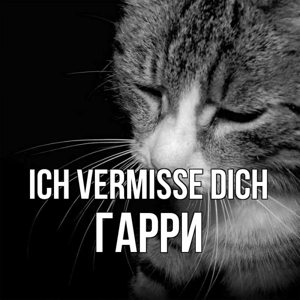 Открытка на каждый день с именем, Гарри Ich vermisse dich мне скучно Прикольная открытка с пожеланием онлайн скачать бесплатно 