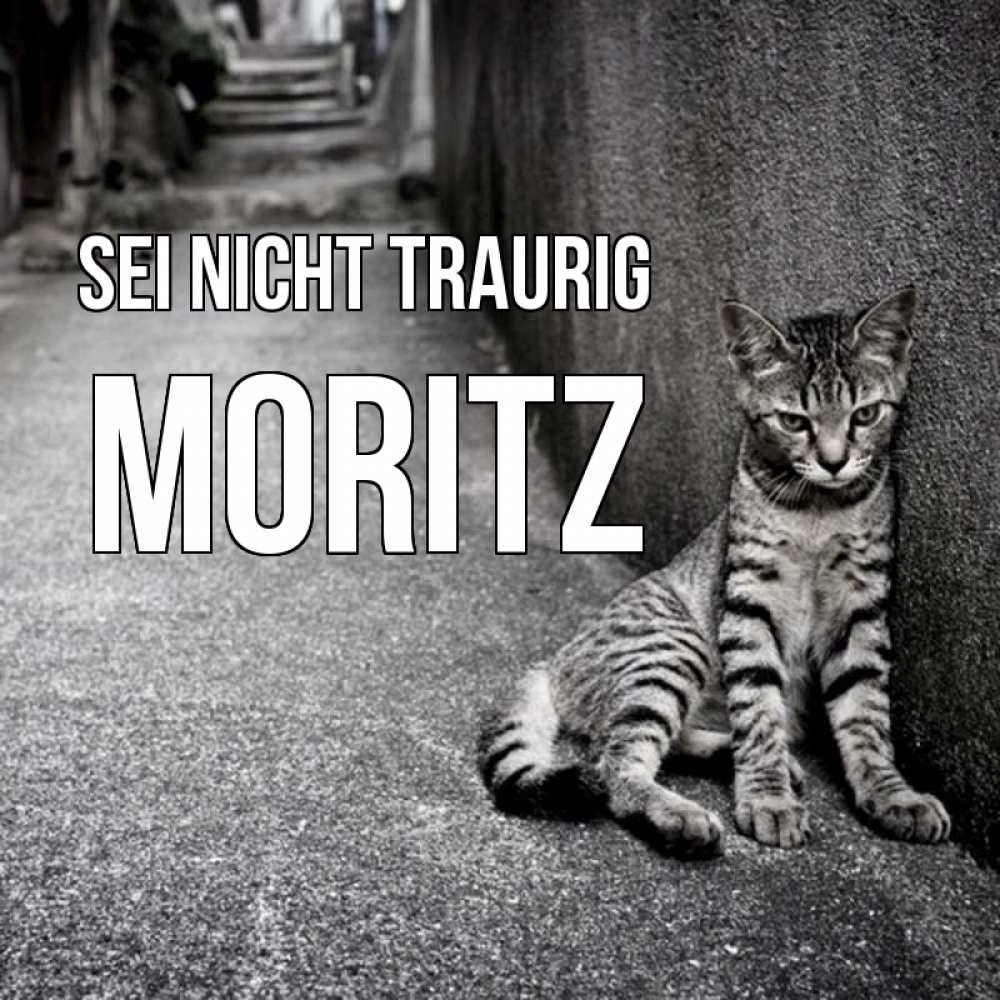 Открытка на каждый день с именем, Moritz Sei nicht traurig скучающий котик Прикольная открытка с пожеланием онлайн скачать бесплатно 