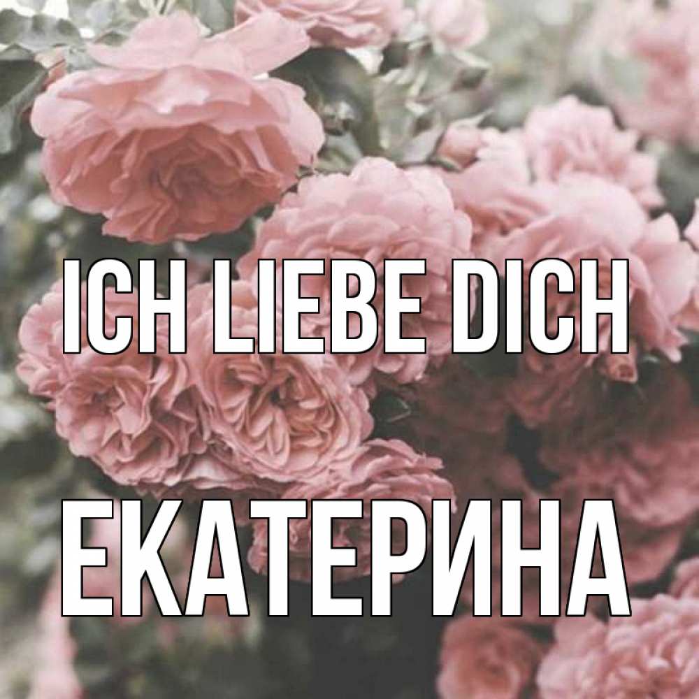 Открытка на каждый день с именем, Екатерина Ich liebe dich розы 3 Прикольная открытка с пожеланием онлайн скачать бесплатно 