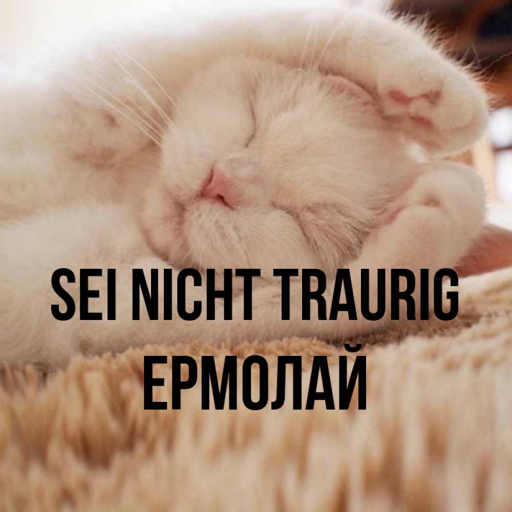Открытка на каждый день с именем, Ермолай Sei nicht traurig Котенок спит Прикольная открытка с пожеланием онлайн скачать бесплатно 